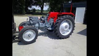 Massey Ferguson 135 - 1972 De gehele revisie en restauratie