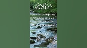 تلاوات مسجد قباء# من سورة الأنعام# الشيخ أ. د عماد بن زهير حافظ
