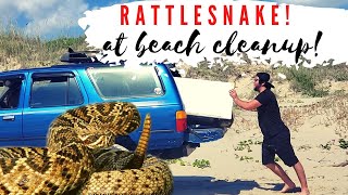 Rattlesnake at South Padre Island's East Cut