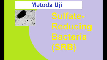 Sulfate Reducing Bacteria (SRB) test