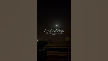 عبدالرحمن مسعد | سورة النحل