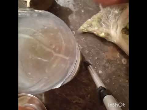 جولة في أجمل بداية   