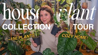 HOUSEPLANT TOUR!!  my collection of ~150 plants | fall 2023