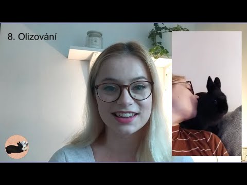 Video: Jaká je šťastná barva pro králíka?