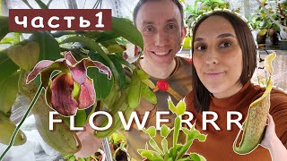 Часть1/Магазин хищных растений Flowerrr/Обзор растений и много полезных советов!