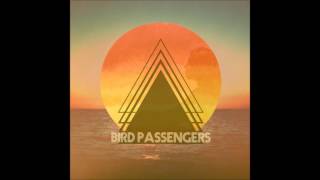 Bird Passengers - Afterglow  (Instrumental) chords