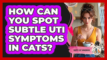 How Can You Spot Subtle UTI Symptoms In Cats? - Happy Cat Handbook