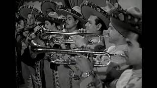 Video voorbeeld van "TICO TICO MARIACHI MÉXICO DE PEPE VILLA"