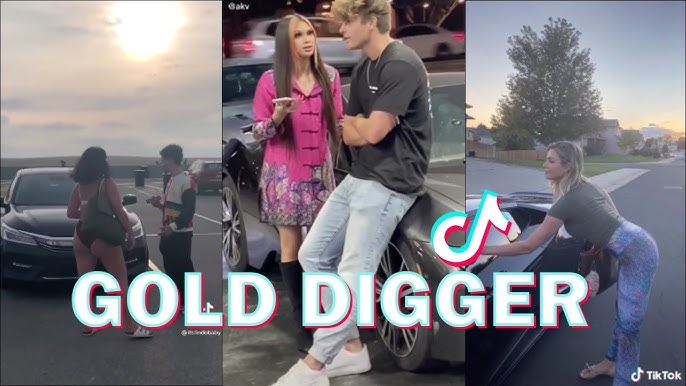 gold digger meaning in english｜TikTok Search