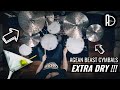 Sonor vintage series drums  agean beast extra dry cymbals