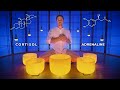 Capture de la vidéo Adrenal Gland Sound Bath  |  Crystal Singing Bowl Hormone Cleanse  |  Cortisol And Adrenaline