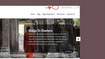 Chameleon WordPress Theme Review by Elegant Themes Reviews