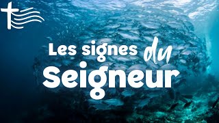 Parole et Évangile du jour | Lundi 21 juillet • Jonas & Salomon : il y a ici bien plus qu'eux