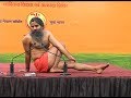 योग से असाध्य रोगों का उपचार | Patanjali Yogpeeth, Haridwar | 30 April 2019 (Part 2)