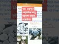 Lichen is Natural Air pollution indicator. प्राकृतिक वायु प्रदूषण सूचक लाइकेन।