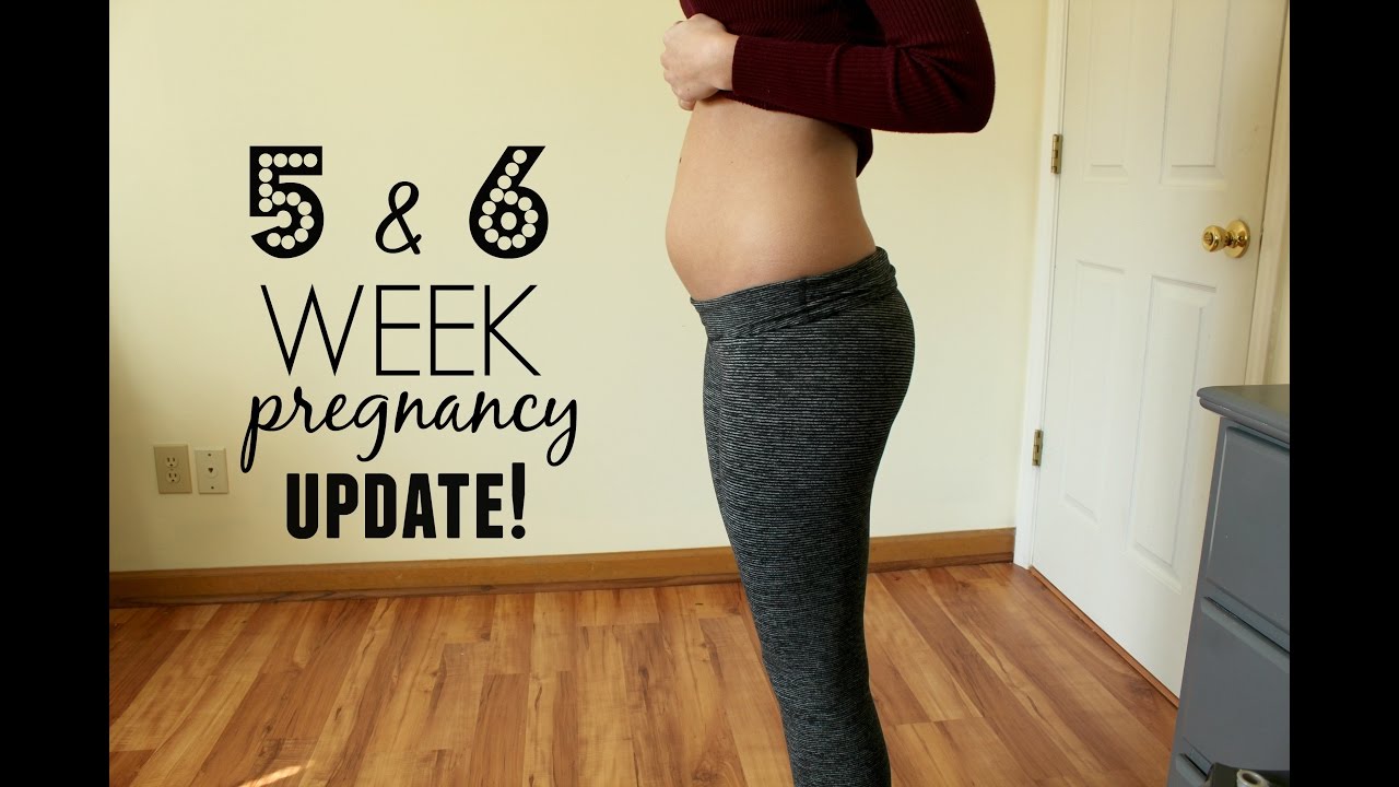 5-and-6-week-pregnancy-update-symptoms-cravings-life-update-youtube
