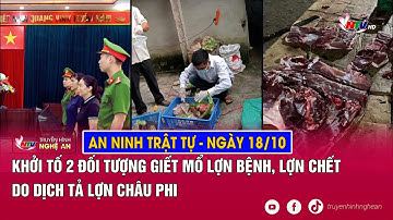 An ninh trật tự 24h - 18/10: Khởi tố 2 đối tượng giết mổ lợn bệnh, lợn chết do dịch tả lợn Châu Phi