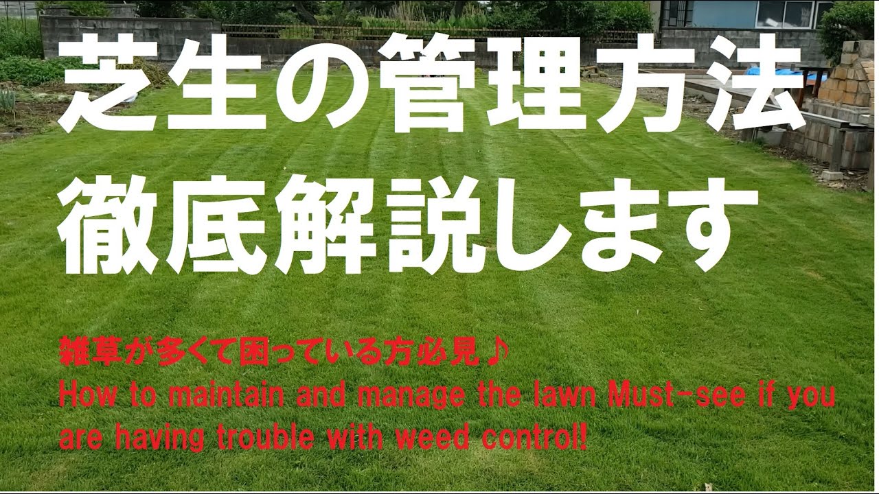 芝生の手入れ管理方法 なんとなく芝生管理している方必見lawn Care Management Method For People Who Have Trouble With Weed Control Youtube 芝生の手入れ管理方法 なんとなく芝生管理している方必見lawn Care Management Method For People Who Have Trouble With Weed Control Youtube