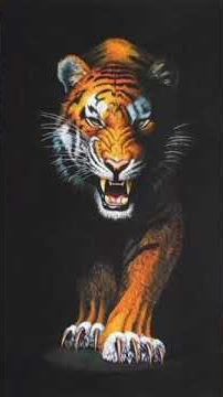 TIGER sound sms Ringtone🐯🐯🐯🐯🐯//New Animal Sms Ringtone