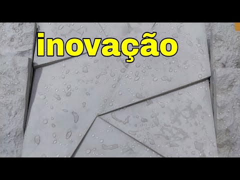 Vídeo: Alimentando Feijão Verde para Cães