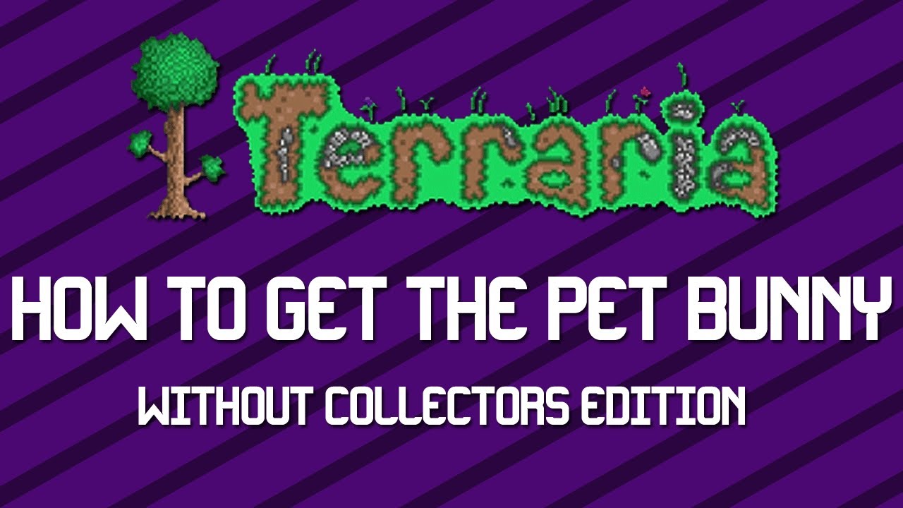 Terraria How To Get The Bunny And Carrot Without The Collectors Edition Terraria Hack Youtube