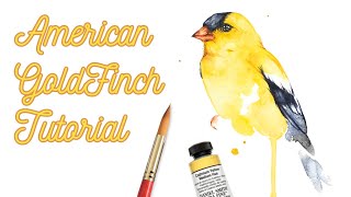Watercolor Goldfinch Tutorial! Loose washes with details