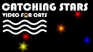 Cat Games - Catching Stars! Entertainment Video For Cats.