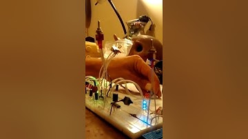 4093 quad NAND Gate nonsense