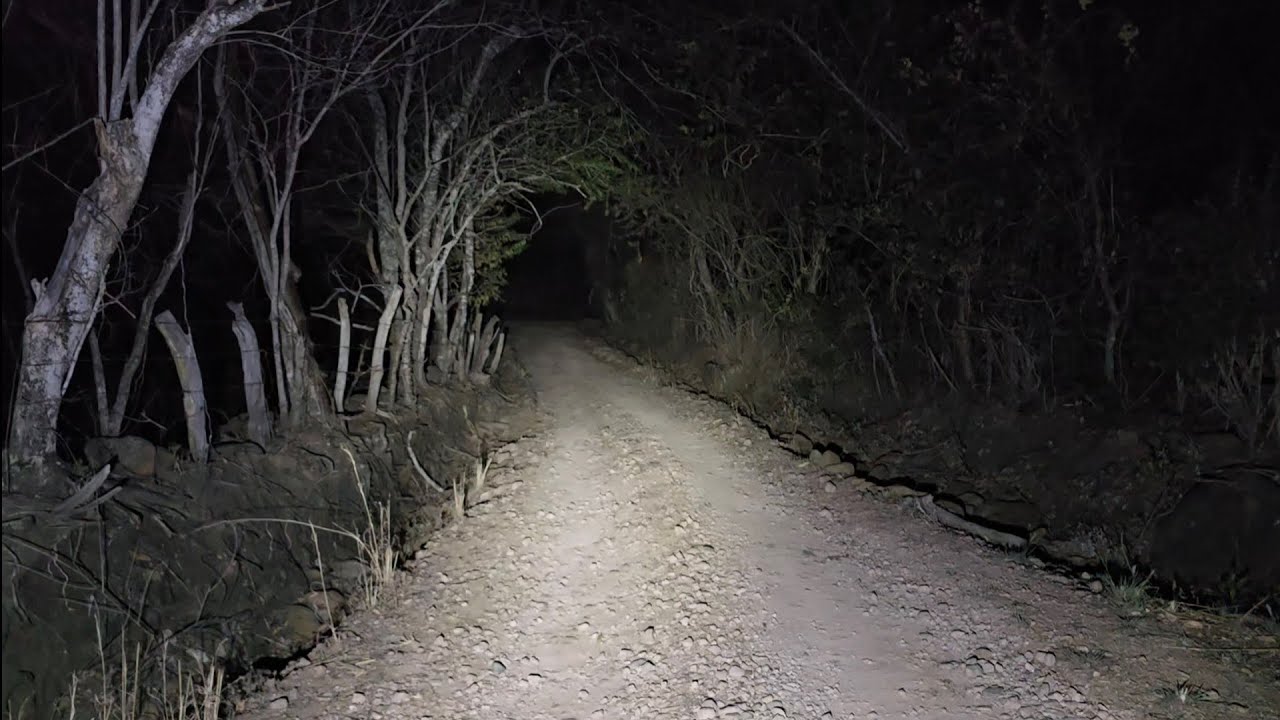 Misterio sin Resolver una Extraña Ave Nocturna que Canta en este lugar y no se deja ver