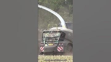Mais Hakselen 2025 | Claas Jaguar 950 | Case IH + Volvo | Pleizier & Timmer