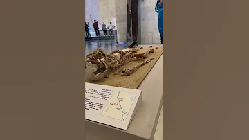 هيكل عظمي من 35000 الف سنة 