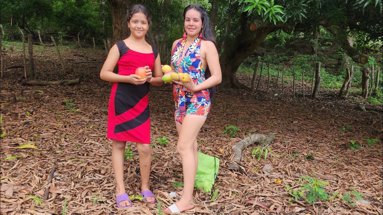 la ultima cosecha de mangos en el salvador YouTube