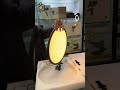 Jamary Panel Light Bi-Color ✨
