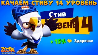 КАЧАЕМ 14 УРОВЕНЬ ОРЛУ СТИВУ!!! ИМБА ИМБУЕТ В ИГРЕ ZOOBA