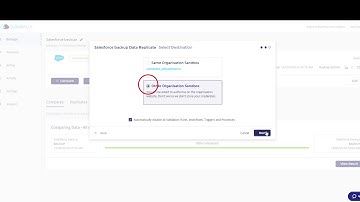 Salesforce - Full Salesforce Organization Data Replication