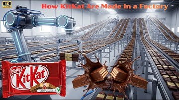 Inside a Modern Chocolate Factory: From Raw Cocoa Beans to Premium Chocolate Bars (Full Process)