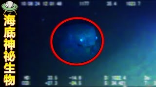 5個潛伏在海底被相機捕抓到的海怪