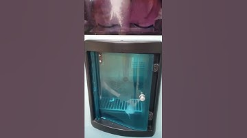 Ice Cream Robot in Germany