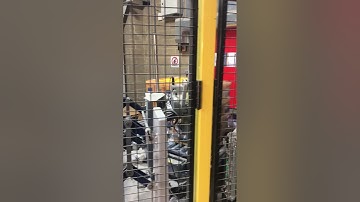 Robot Palletising & Wrapping  | RMGroup UK