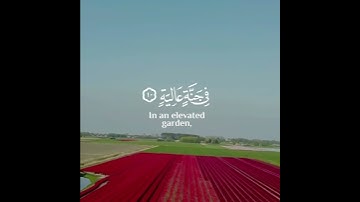 حالات واتس اب قرآن|القارئ عبد الرحمن مسعد