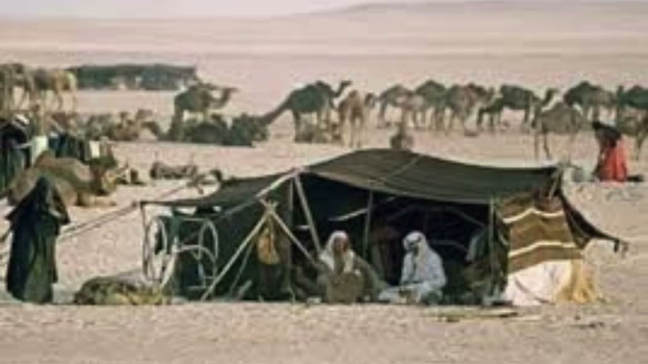 قصة الفارس سعدون العواجي@ALI999E