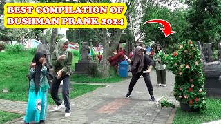 KOMPILASI PRANK MANUSIA POHON TERBAIK 2024