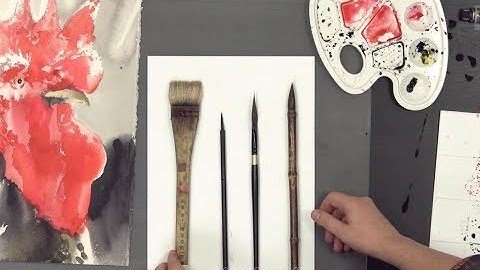 Художник Анна Чепурная-Олейник: инструменты и материалы для рисования акварелью (отрывок урока).