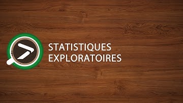 #09 Statistiques Exploratoires dans Excel avec XLSTAT