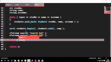 Iterative and Binary Vector Sort in C++ (full example)