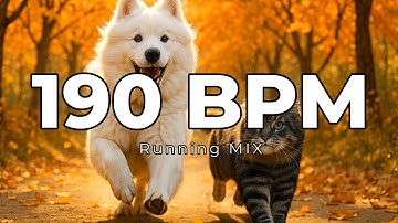 190 BPM Running & Workout Mix | 1 Hour | Metronome Synced | Workout Motivation