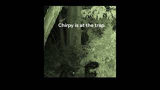 Karin and the K9 TEAM... FINDING CHIRPY