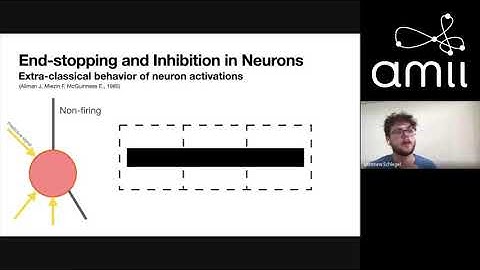 The Tea Time Talks 2020: Matthew Schlegel: A first look at hierarchical predictive coding (July 20)