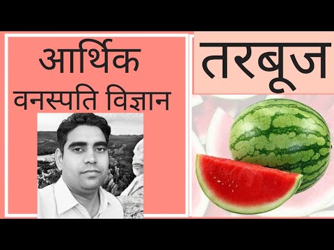 Economic Botany-Watermelon (तरबूज)