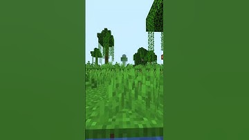 A Perfect Loop (Part 159)